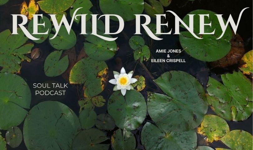 ReWild ReNew Podcast by Eileen Crispell and Amie Jones